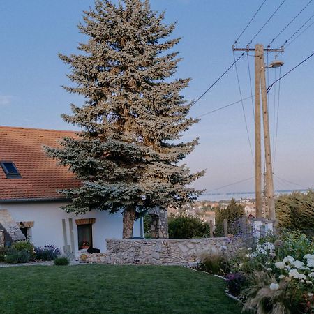 Panorama Vine House Apartment Balatonfured Bagian luar foto